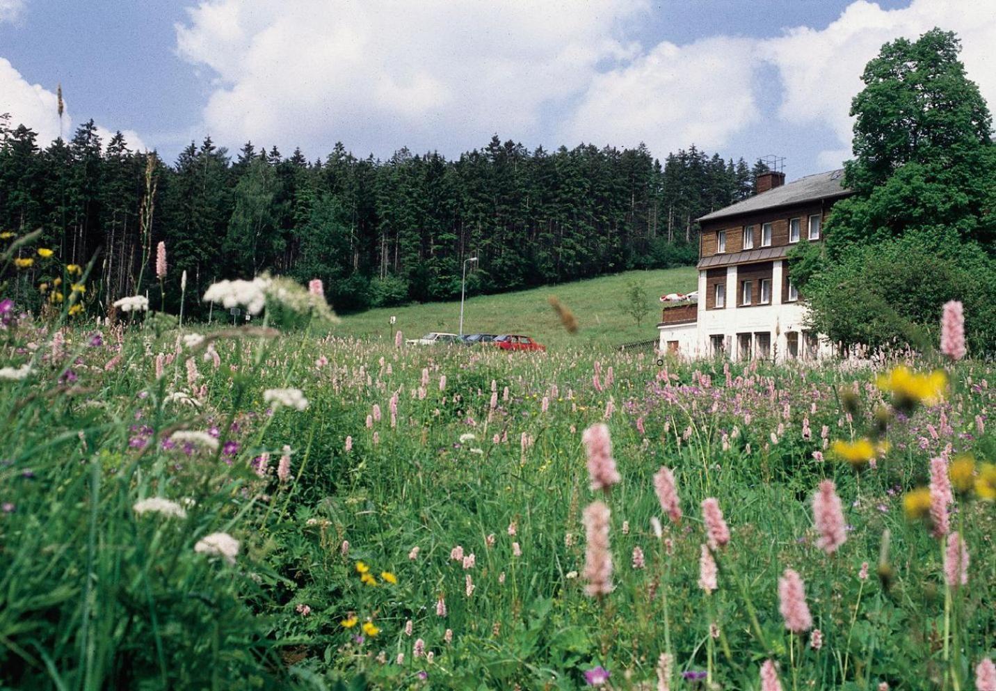 Landhaus Bergidyll Bärenstein Exterior photo