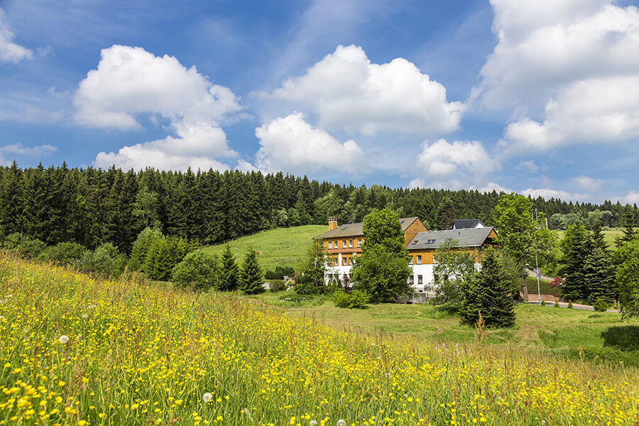 Landhaus Bergidyll Bärenstein Exterior photo